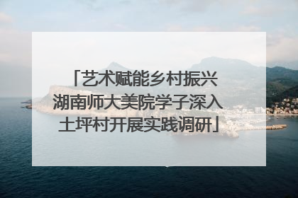 艺术赋能乡村振兴 湖南师大美院学子深入土坪村开展实践调研