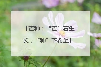 芒种：“芒”着生长，“种”下希望