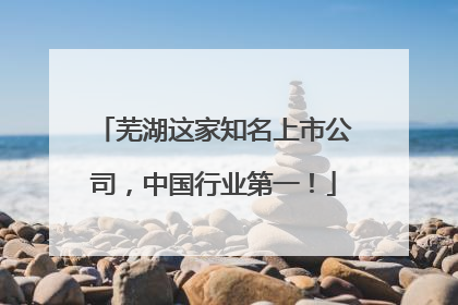 芜湖这家知名上市公司，中国行业第一！