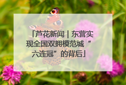 芦花新闻｜东营实现全国双拥模范城“六连冠”的背后