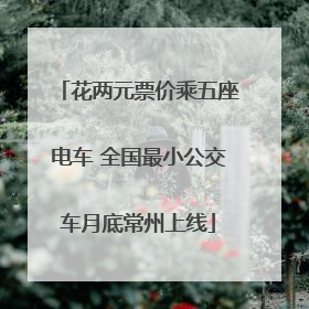 花两元票价乘五座电车 全国最小公交车月底常州上线
