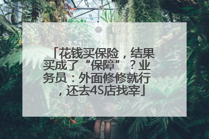 花钱买保险，结果买成了“保障”？业务员：外面修修就行，还去4S店找宰