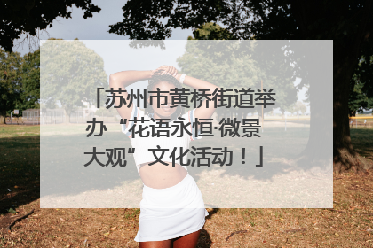 苏州市黄桥街道举办“花语永恒·微景大观”文化活动！