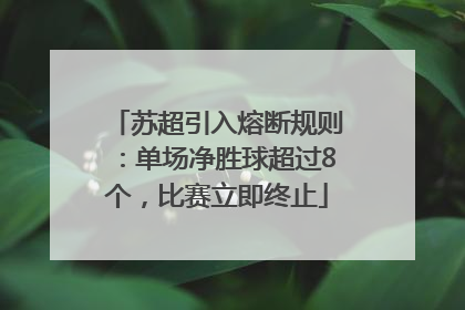 苏超引入熔断规则：单场净胜球超过8个，比赛立即终止