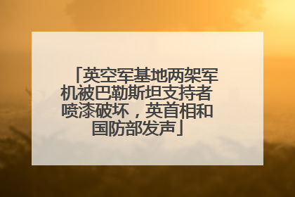 英空军基地两架军机被巴勒斯坦支持者喷漆破坏，英首相和国防部发声