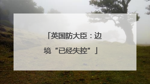 英国防大臣：边境“已经失控”