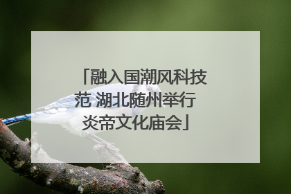 融入国潮风科技范 湖北随州举行炎帝文化庙会