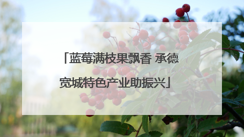 蓝莓满枝果飘香 承德宽城特色产业助振兴