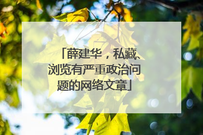 薛建华，私藏、浏览有严重政治问题的网络文章