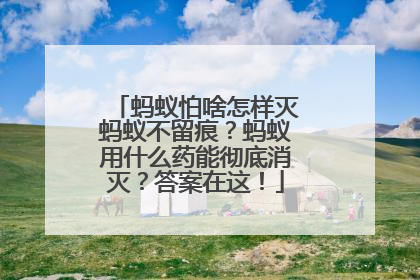 蚂蚁怕啥怎样灭蚂蚁不留痕？蚂蚁用什么药能彻底消灭？答案在这！