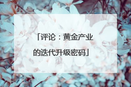 评论：黄金产业的迭代升级密码