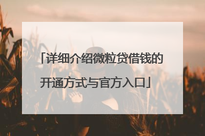 详细介绍微粒贷借钱的开通方式与官方入口
