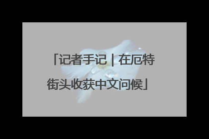 记者手记｜在厄特街头收获中文问候