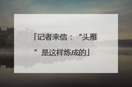 记者来信：“头雁”是这样炼成的