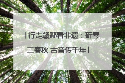 行走赣鄱看非遗：斫琴三春秋 古音传千年