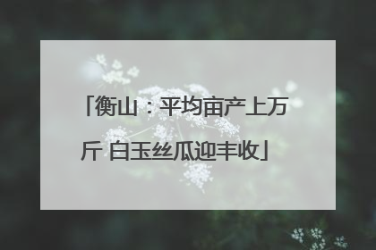 衡山：平均亩产上万斤 白玉丝瓜迎丰收
