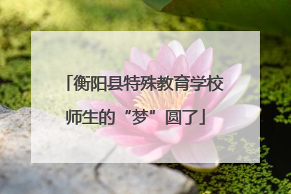 衡阳县特殊教育学校师生的“梦”圆了