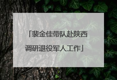 裴金佳带队赴陕西调研退役军人工作