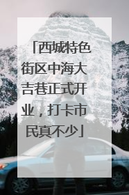 西城特色街区中海大吉巷正式开业，打卡市民真不少