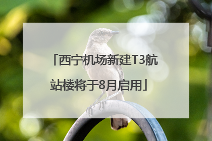 西宁机场新建T3航站楼将于8月启用