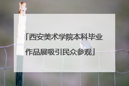 西安美术学院本科毕业作品展吸引民众参观