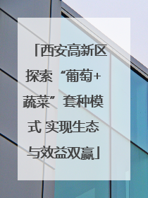 西安高新区探索“葡萄+蔬菜”套种模式 实现生态与效益双赢