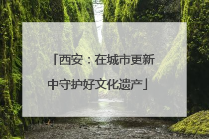 西安：在城市更新中守护好文化遗产
