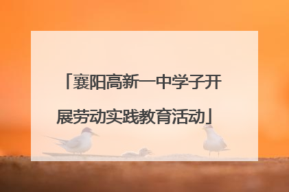 襄阳高新一中学子开展劳动实践教育活动