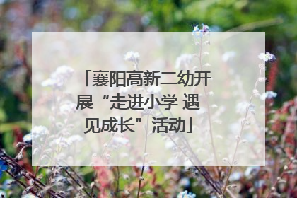 襄阳高新二幼开展“走进小学 遇见成长”活动