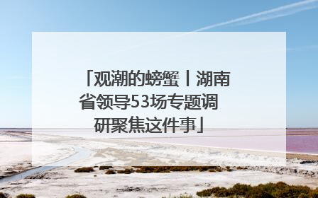 观潮的螃蟹丨湖南省领导53场专题调研聚焦这件事