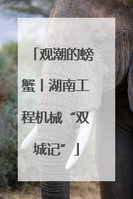 观潮的螃蟹丨湖南工程机械“双城记”