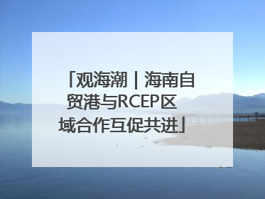 观海潮｜海南自贸港与RCEP区域合作互促共进