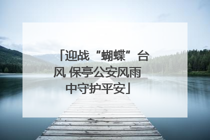 迎战“蝴蝶”台风 保亭公安风雨中守护平安