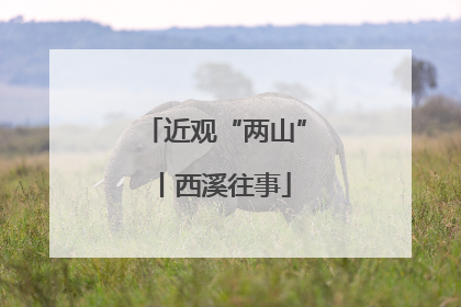 近观“两山”丨西溪往事