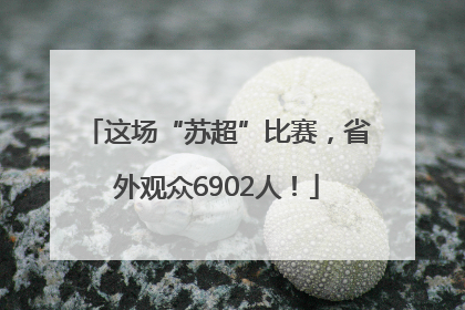 这场“苏超”比赛，省外观众6902人！