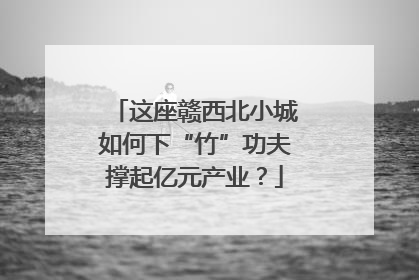 这座赣西北小城如何下“竹”功夫撑起亿元产业？