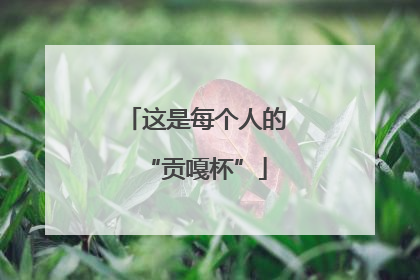 这是每个人的“贡嘎杯”