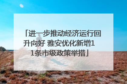 进一步推动经济运行回升向好 雅安优化新增11条市级政策举措