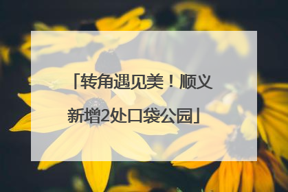 转角遇见美！顺义新增2处口袋公园
