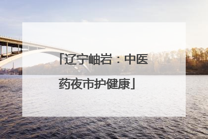辽宁岫岩：中医药夜市护健康