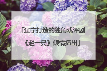 辽宁打造的独角戏评剧《赵一曼》倾情播出
