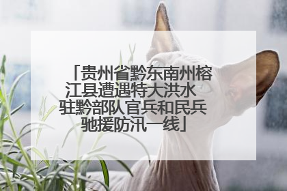 贵州省黔东南州榕江县遭遇特大洪水 驻黔部队官兵和民兵驰援防汛一线