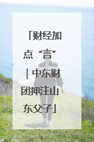 财经加点“言”｜中东财团押注山东父子