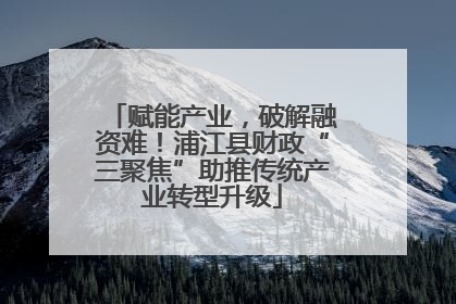赋能产业，破解融资难！浦江县财政“三聚焦”助推传统产业转型升级