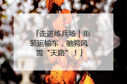 走进练兵场｜重装运输车，驰骋风雪“天路”！