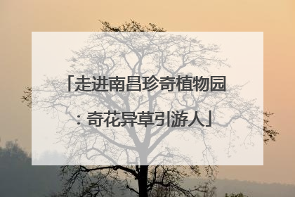 走进南昌珍奇植物园：奇花异草引游人