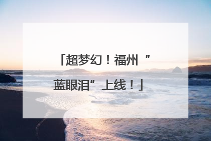 超梦幻！福州“蓝眼泪”上线！