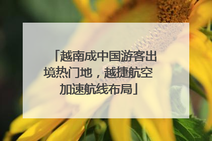 越南成中国游客出境热门地，越捷航空加速航线布局