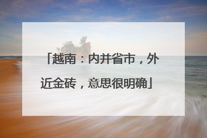 越南：内并省市，外近金砖，意思很明确