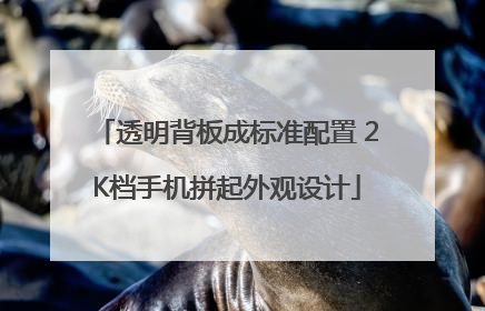 透明背板成标准配置 2K档手机拼起外观设计